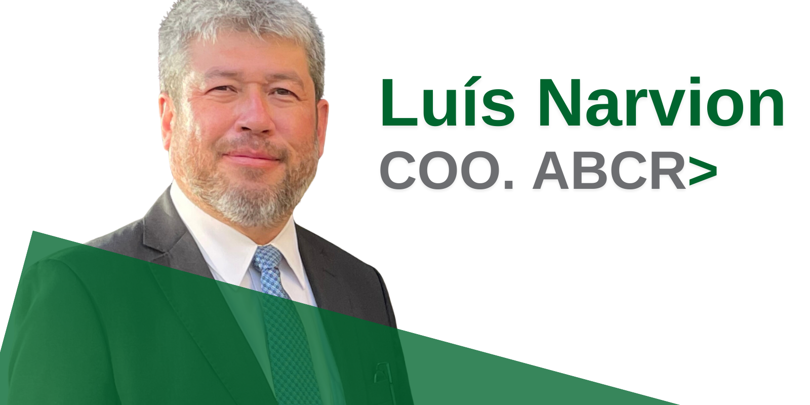 Ia na era digital Luís Narvion COO ABCR 1